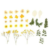 Dried Flower Nail Decor Pressed Flowers Art Embossing Floral Stickers
