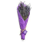 Ketchum Hollow Dried Lavender Bundle, Grown in Idaho, USA, 2023 Harvest, 100%