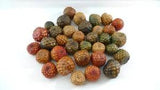 34 Natural Dried Nuts Shells Home Display Table Decor Potpourri