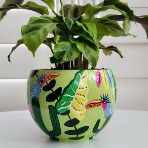 Round green painted pot. Round Terracotta Planter. "Tucanes In The Desert"
