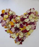 Mixed Color Dried Rose Petals 6 Cups for Weddings, Soaps, Crafts   Free Ship