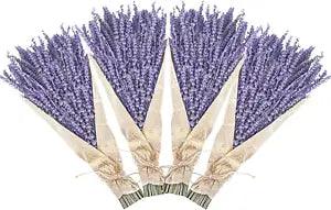 Dried Lavender Bundles, Natural Dried Lavender Flowers 280-300 Stems 16??? for Hom