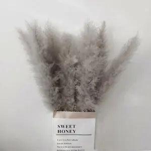 Natural Dried Pampas Grass Gray Reed Flower Bunch Bouquet Wedding Decor Best US