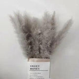 Natural Dried Pampas Grass Gray Reed Flower Bunch Bouquet Wedding Decor Best US