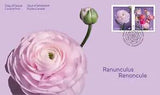 CANADA 2023 RANUNCULUS FDC FIRST DAY COVER FLOWERS SPRING PERSIAN BUTTERCUP OFDC