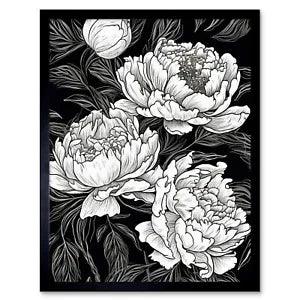 Peony Flower Blooms White on Black Illustration Framed Wall Art Print 12x16