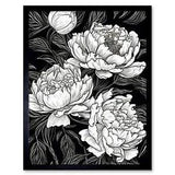 Peony Flower Blooms White on Black Illustration Framed Wall Art Print 12x16