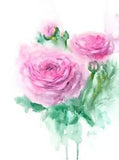 Ranunculus Painting Flower Original Watercolor Pink Roses Artwork Floral Art