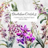 Dendrobium Purple Orchid Wedding Invitation Dendrobium Orchid Clipart Pink Orchid Orchid Wedding Stationary Floral Clipart