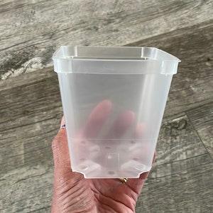 3.5" square clear orchid pot, Clear plastic pot for tropical aroids, Clear nursery pot