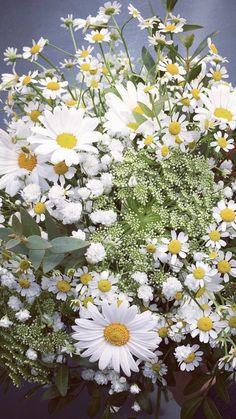 Daisy Wedding Bouquet Flower Delivery