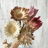 Dried Flower Sun Chrysanthemum Lotus Branch Water Lily  Bouquet Wedding Decor