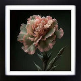Carnation Flower Realism Framed Wall Art Poster Print Home Decor Picture Large