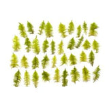 Pressed natural moss