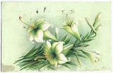 Postcard Lilies Green Background Posted 1907 Embossed Carte Postale Vintage