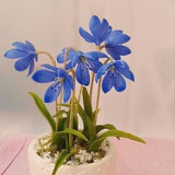 Home Decorations Spring Decor -Mini composition Scilla-Polymer clay flower-Cold porcelain-Potted Plant Artificial,Romantic gifts for her