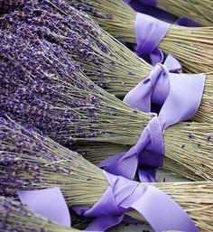Lavanda e Rosmarino, effetti... di benessere e bellezza! - Sonia Paladini - food and lifestyle blog - Italy Flower Delivery