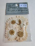 NEW SEALED Pressed Real Flower Petals Daisy Confetti USA Vintage Retired #19