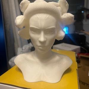 3D Printed Medusa Succulent Planter - Built-In Drainage - Customizable Color - Mythical Home Decor - Plant Lover Gift - Indoor Plant Pot