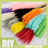 15PCS Artificial Natural Dried Pampas Grass Flower Bunch /Wedding Bouquet Decora