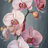 ORCHID - original oil painting by Grigor Velev