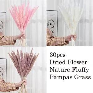 30 PCS Natural Dried Pampas Grass Reed Flowers Bunch Wedding Home Decoration