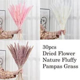 30 PCS Natural Dried Pampas Grass Reed Flowers Bunch Wedding Home Decoration