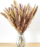 NEW 40-Pc Pampas Grass Dried Wheat Bouquet 17