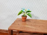 Dollhouse Potted Calla Lily Blue & White Flowering Plant in Clay Pot 1:12 Scale