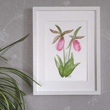Lady slipper orchids - original watercolour painting