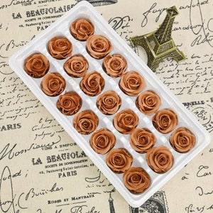 2-3 cm-Pack of 21, Colorful Preserved Mini Roses,Colorful Preserved Roses,Wedding decor,Floral Arrangement, flowers bouquet blank