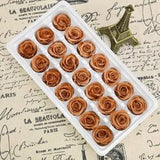 2-3 cm-Pack of 21, Colorful Preserved Mini Roses,Colorful Preserved Roses,Wedding decor,Floral Arrangement, flowers bouquet blank