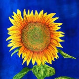 Sunflower House Flag, 36