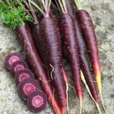 100 seeds Organic non-GMO purple carrot sun sweet and crispy