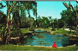 Postcard CA Water Lily Pond Anaheim City Park Girl Sitting Red Palms Landscape