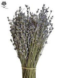 Certified Organic Greek Dried Lavender 1 Bunch 30-32cm | Harvest July 2023