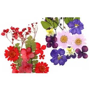 Assorted dried flowers for craft, red and purple blooms with green leaves