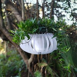 OVAL -Hanging Basket- Orchid Pot-Hanging Basket- Hanging Planter-Large size
