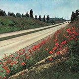Postcard KS Lawrence 1958 Wild Tiger-lilies Bloom Flowers Highway Road