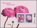 RANUNCULUS - PERSIAN BUTTERCUP = Souvenir Sheet of 2 stamps Canada 2023 MNH