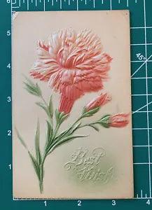 P.SANDER COPYRIGHT 1907 EMBOSSED FLOWER BEST WISHES POSTCARD Carnation Antique