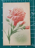 P.SANDER COPYRIGHT 1907 EMBOSSED FLOWER BEST WISHES POSTCARD Carnation Antique