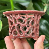 Tiny Red White Maroon Burgundy Mini Micro Orchid Planter Pot with Holes