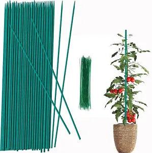 30 Pack Plant Stake Support 17 inch Garden Stakes For Amaryllis Orchid Lily Rose