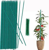 30 Pack Plant Stake Support 17 inch Garden Stakes For Amaryllis Orchid Lily Rose