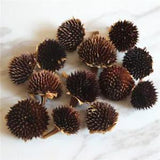 1.5-3cm 50pcs Natural Dried flower head Eternal DIY Graft flower material...