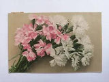 cpa Martin ROMMEL, STUTTGART Flowers CARNATIONS Flowers CARNATIONS