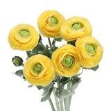 Artificial Ranunculus Flowers, 6 Stems Faux Permanent Flower Floral, Yellow