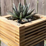 226. Salvaged Treated Pine Wood Hanging Basket Planter for Orchids, Bromeliads, Ferns, Cacti, Other Epiphytes and Succulents