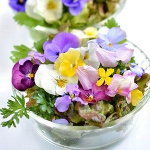 The mixture of Edible Flowers, GMO Free - Seeds